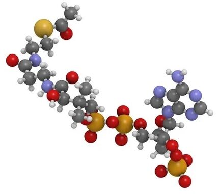 Η τιμή zxcvbnmq περιέχει q10 coenzyme
