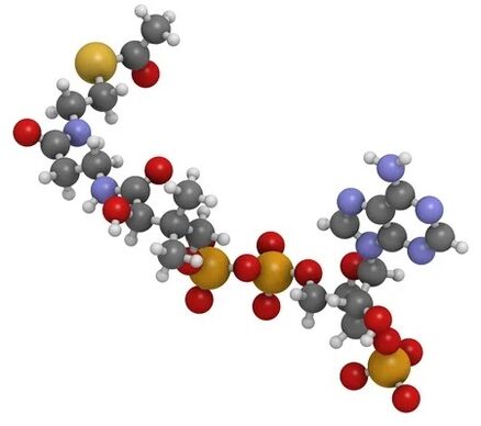 Το Simpla 360 περιέχει Coenzyme Q10